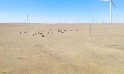 Featured image of post 白云与黑金