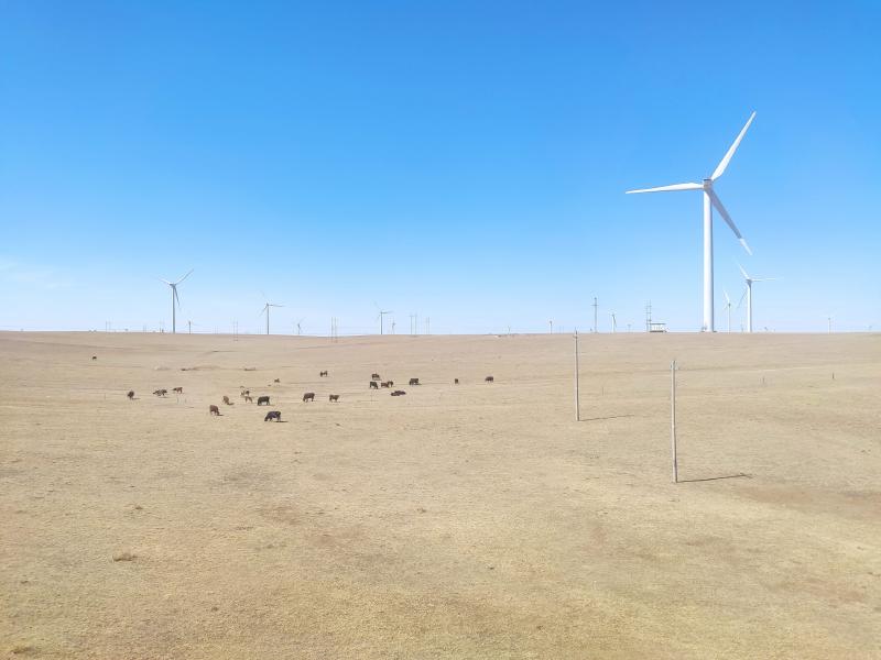 Featured image of post 白云与黑金